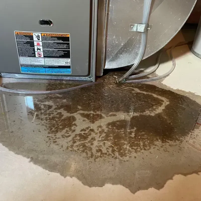 Appliance Leak Cleanup in Chesapeake, WV